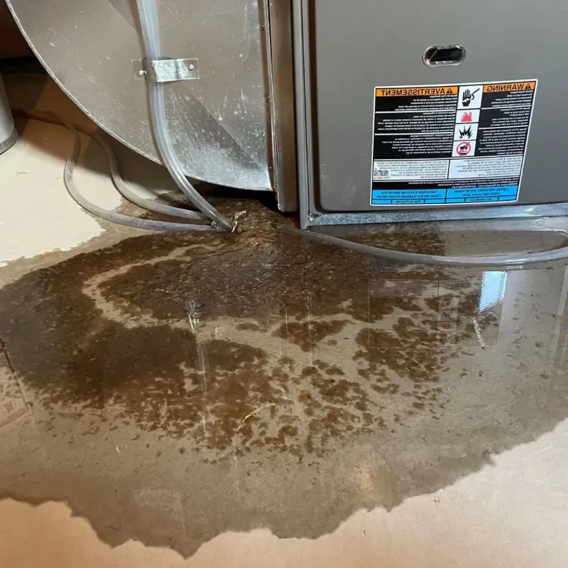 Pipe Burst and Leak Restoration in Breckinridge County, KY
