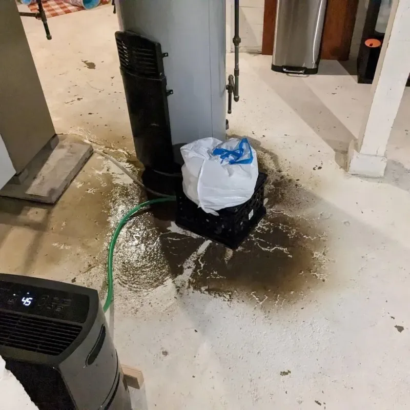 Sewage Backup Cleanup Service in Breckinridge County, KY